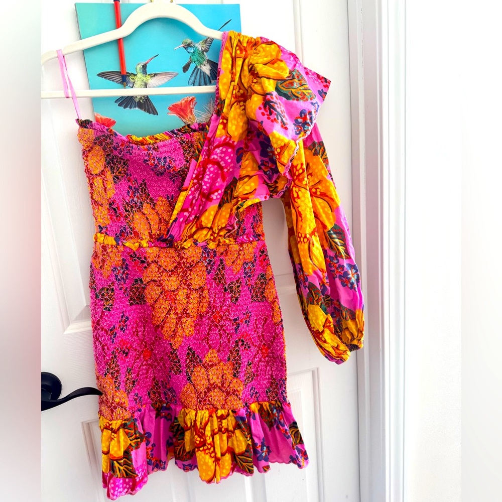 NWOT Farm Rio dress